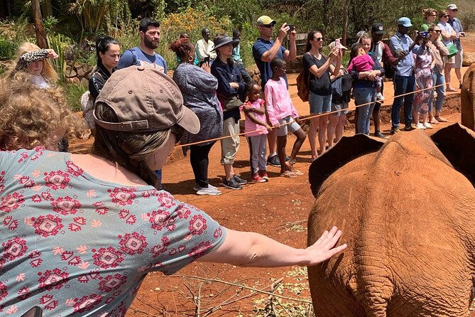 Day Tour to Nairobi national park, Elephants, and Giraffe Center - Who will get the most from this outing