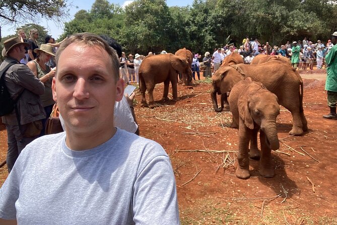 Day Tour to Nairobi national park, Elephants, and Giraffe Center - The Giraffe Centre and Nairobi’s Rothschild giraffes