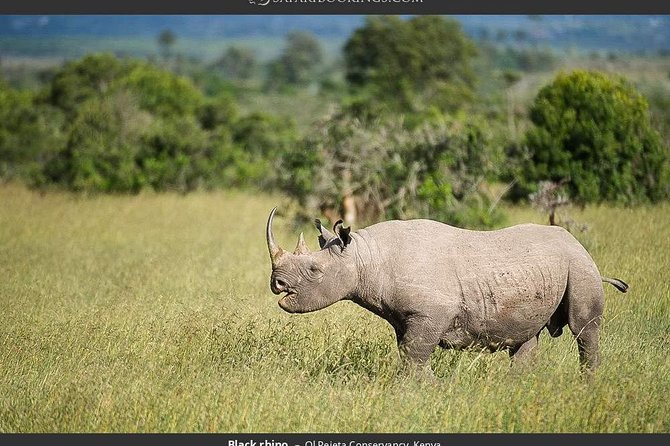 Day Tour to Ol Pejeta Conservancy - The equator stop near Nanyuki