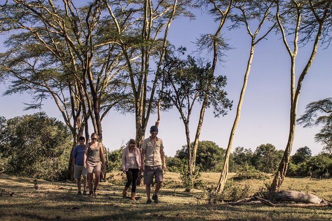 Day Tour to Ol Pejeta Conservancy - Serena Sweetwaters Lodge and the midday watering hole