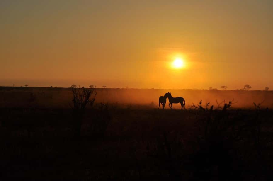 DAY TOUR TO TSAVO EAST NATIONAL PARK FROM MOMBASA/DIANI - Is $355 per person fair value?