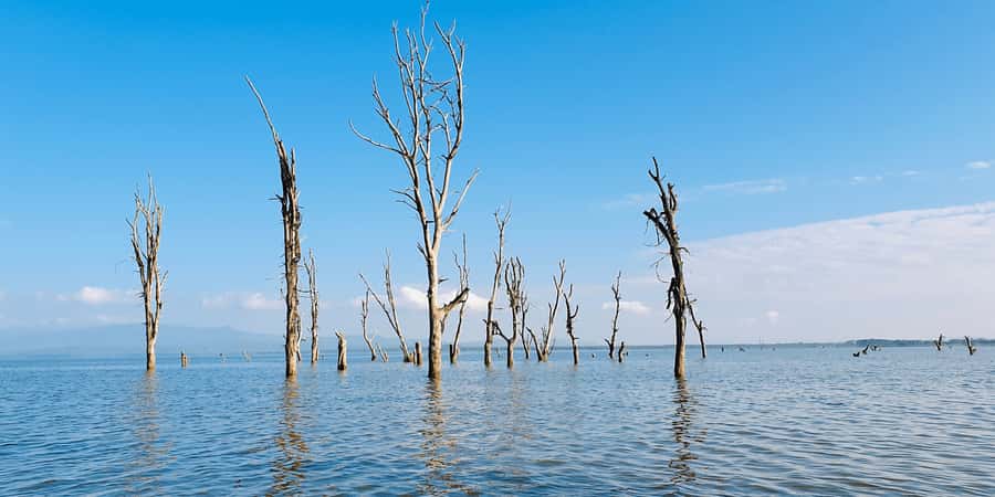 Day Trip: Hell's Gate Bike Ride & Lake Naivasha Boat Ride - Hell’s Gate Gorge and its geothermal rock