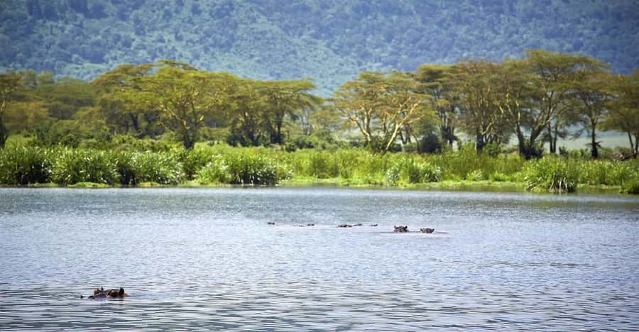 Day Trip: Hell's Gate Bike Ride & Lake Naivasha Boat Ride - Lunch near the park, with a price question