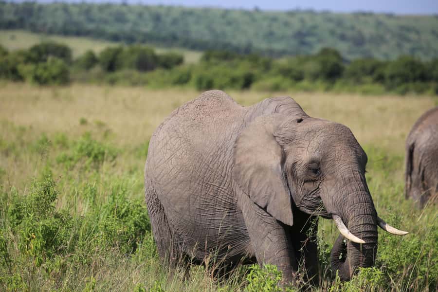 Day Trip: Hell's Gate Bike Ride & Lake Naivasha Boat Ride - Timing, comfort, and group size