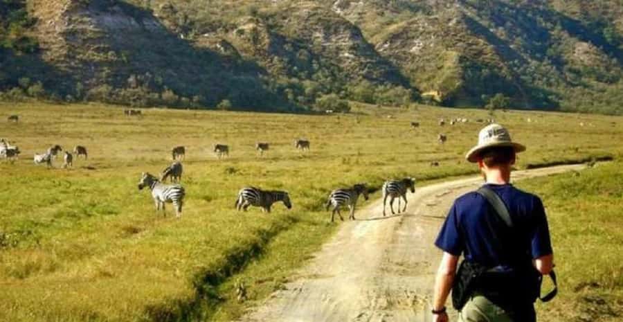 Day trip lake Naivasha and Hells gate - Optional activities and the limits of a tight schedule