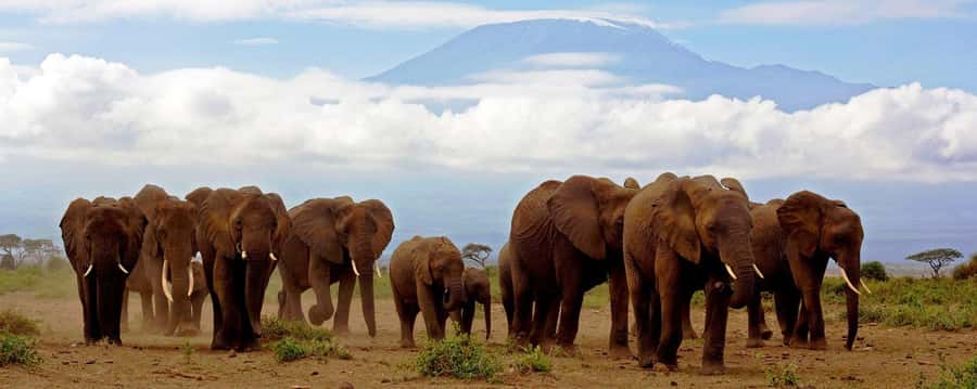 Day Trip to Amboseli National Park from Nairobi. - Entering Amboseli for a full wildlife day