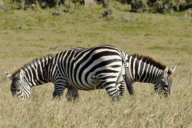 Day Trip To Crescent Island And Hells Gate National Park - Lake Naivasha gives the morning a slower start