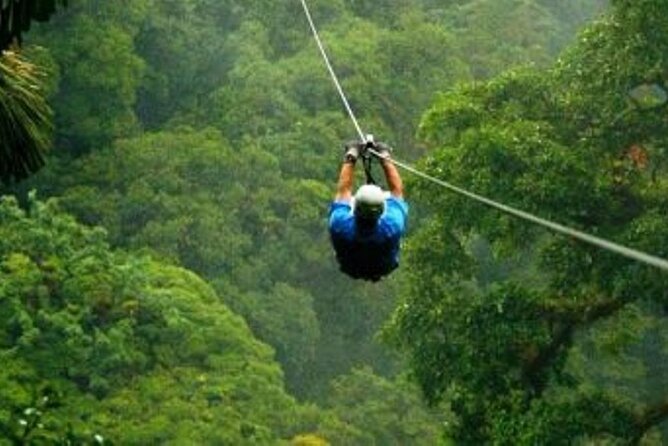 Day Trip to Kereita Forest and Ziplining - The Carbacid Forest Gate and the bubbling spring
