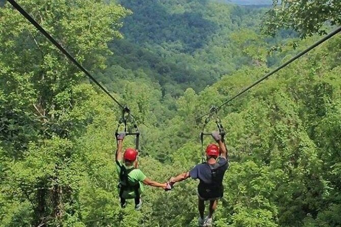 Day Trip to Kereita Forest and Ziplining - The history beneath the forest scenery
