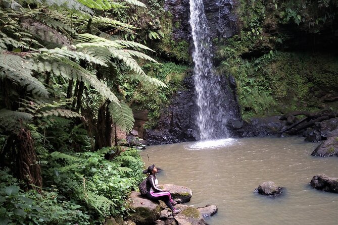 Day Trip to Kereita Forest and Ziplining - What the $99 price really covers
