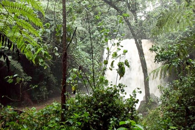 Day Trip to Kereita Forest and Ziplining - Who will enjoy this day most