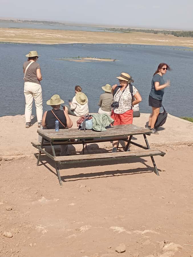 Day Trip to Lake Nakuru National Park from Nairobi - Picnic lunch and a sensible pause in the day