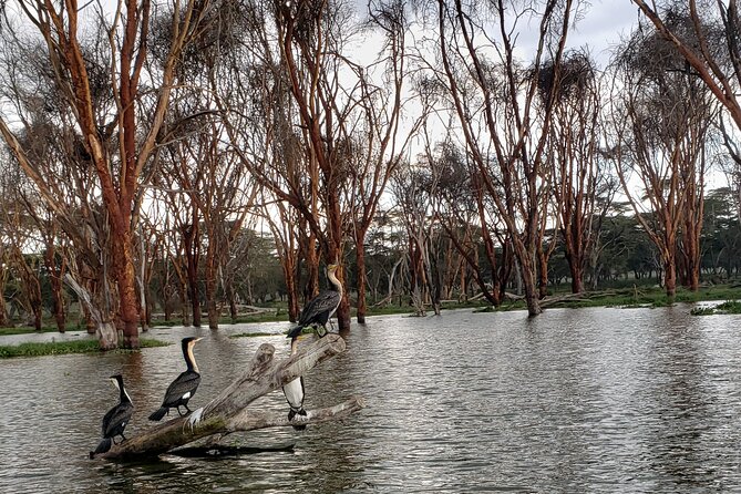 Day Trip to Mt. Longonot with Boat Ride in Lake Naivasha - Why this Nairobi day trip works