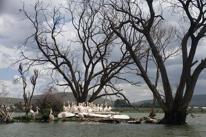 Day Trip to Mt. Longonot with Boat Ride in Lake Naivasha - Lunch and the change of pace at Lake Naivasha