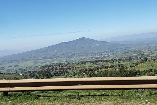 Day Trip to Mt. Longonot with Boat Ride in Lake Naivasha - The one-hour boat ride and its birdlife