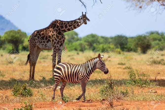 Day Trip - Tsavo East National Park ( Man Eater Lions of Tsavo & Other Big Five) - Who should book this Tsavo East day trip?