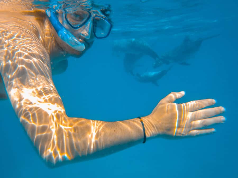 Dhow Adventure to Wasini Island & Kisite Marine Park - Two snorkeling sessions in Kisite-Mpunguti Marine Park