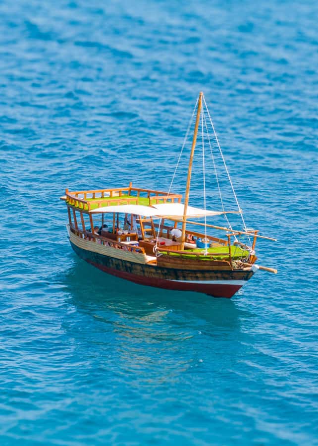 Dhow Adventure to Wasini Island & Kisite Marine Park - A seafood lunch and village time on Wasini Island