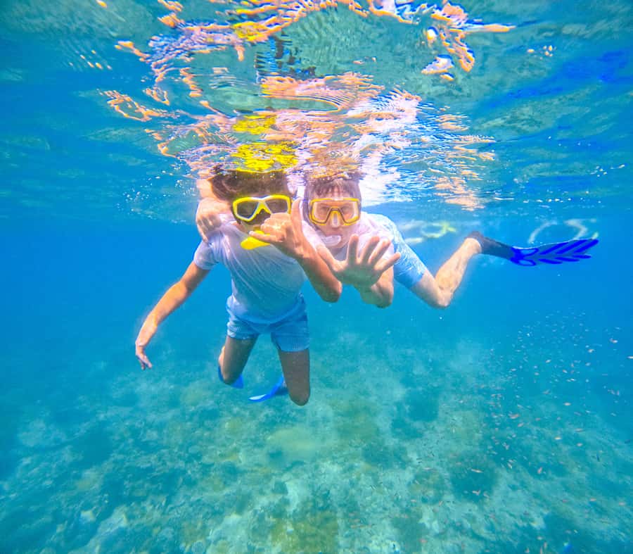 Dhow Adventure to Wasini Island & Kisite Marine Park - What the crew does well