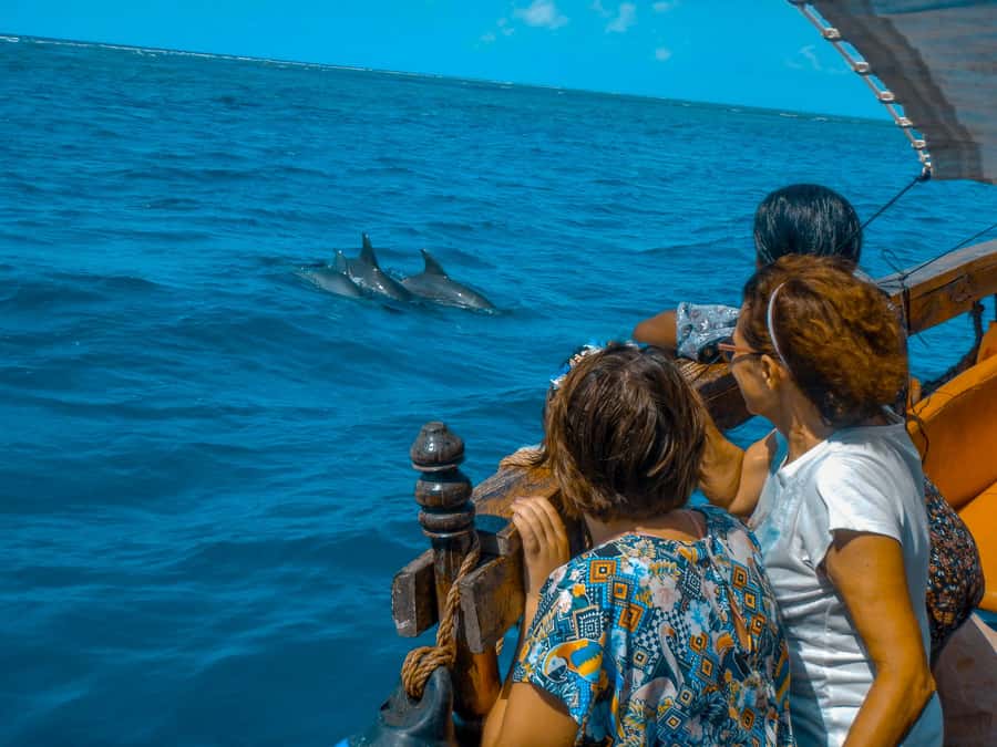 Dhow Adventure to Wasini Island & Kisite Marine Park - Who should book this dhow trip?