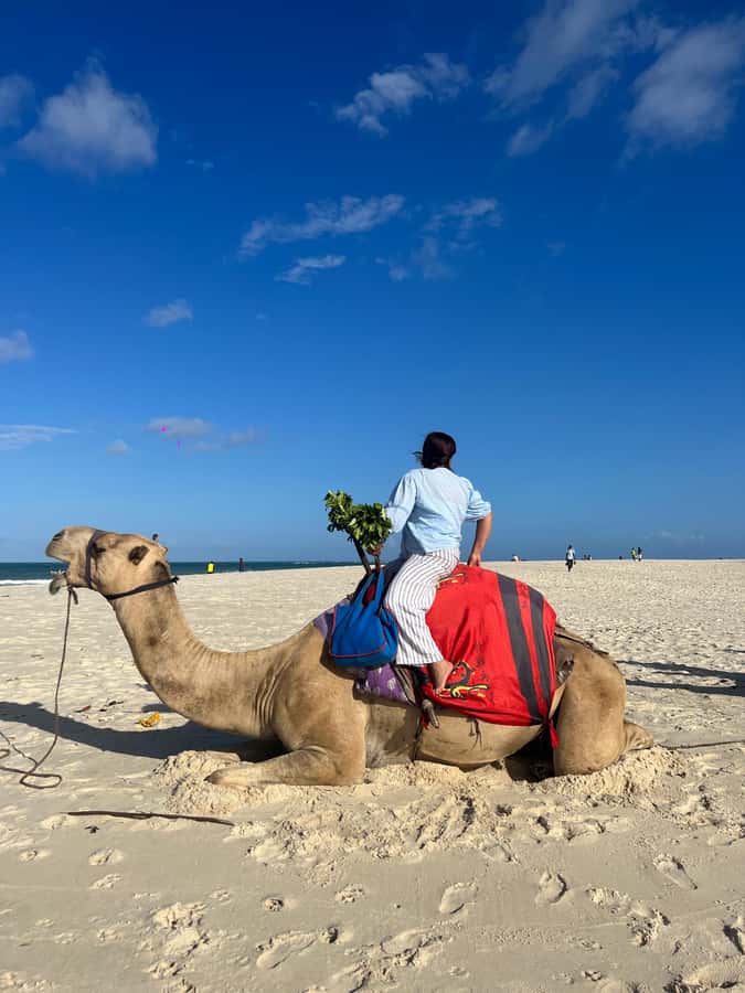DIANI: BEACH CAMEL RIDE - Riding along Diani Beach for 30 minutes