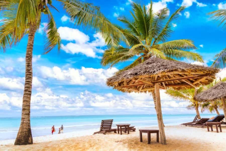 Diani Beach: Funzi Island Day Trip with Lunch - Key points to know before you go