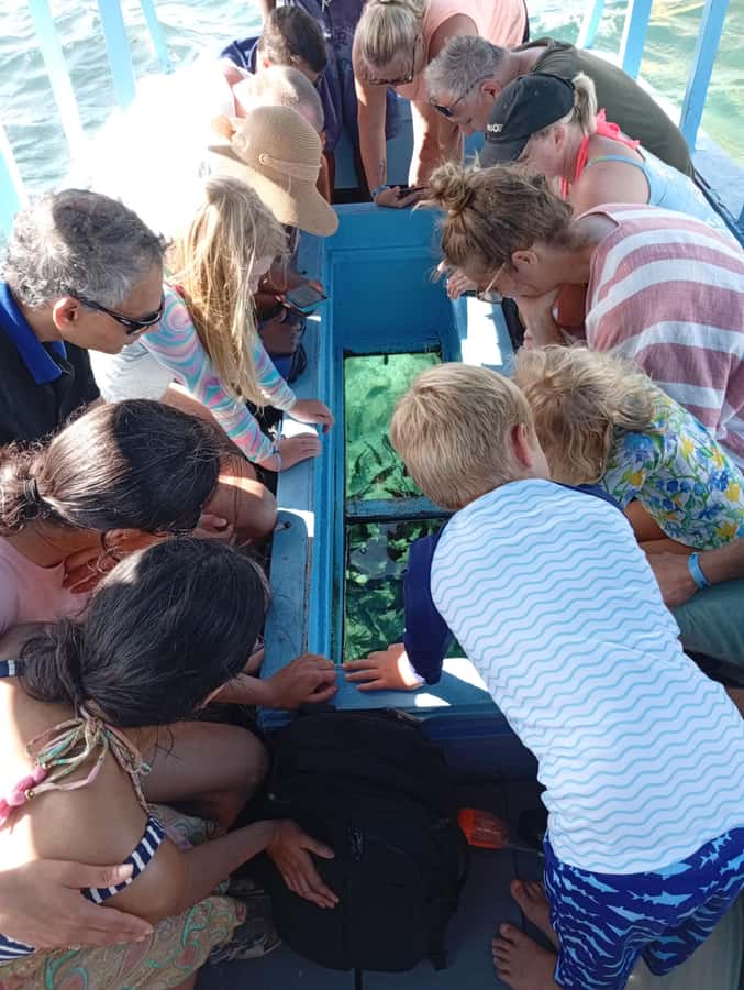 Diani Beach: Glass-Bottom Boat Cruise to Robinson Island - Key Points Before You Book