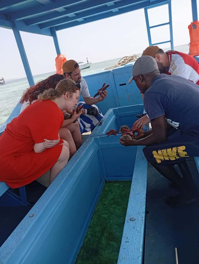 Diani Beach: Glass-Bottom Boat Cruise to Robinson Island - Safety Briefing and the First 15 Minutes at Sea