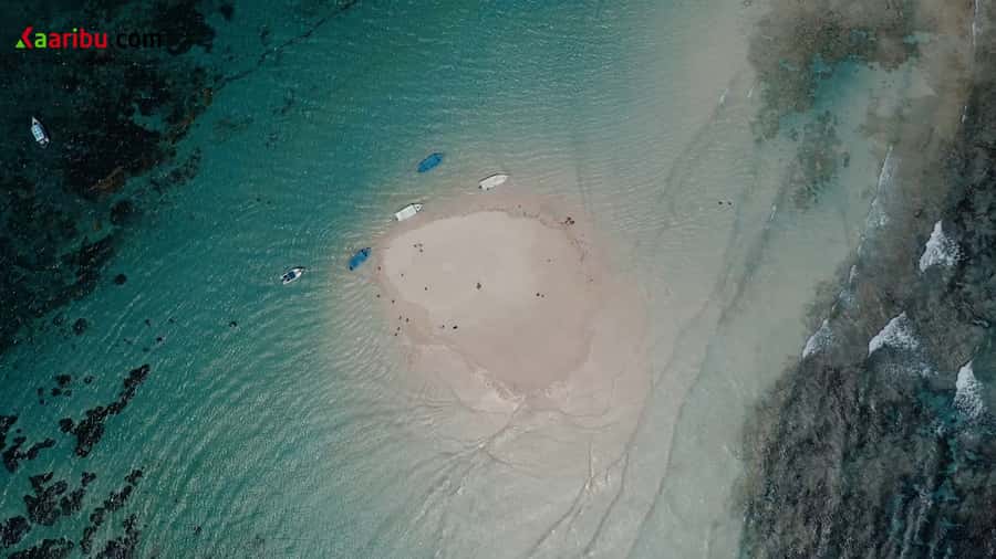 Diani Beach: Glass-Bottom Boat Cruise to Robinson Island - Who Will Enjoy This Most