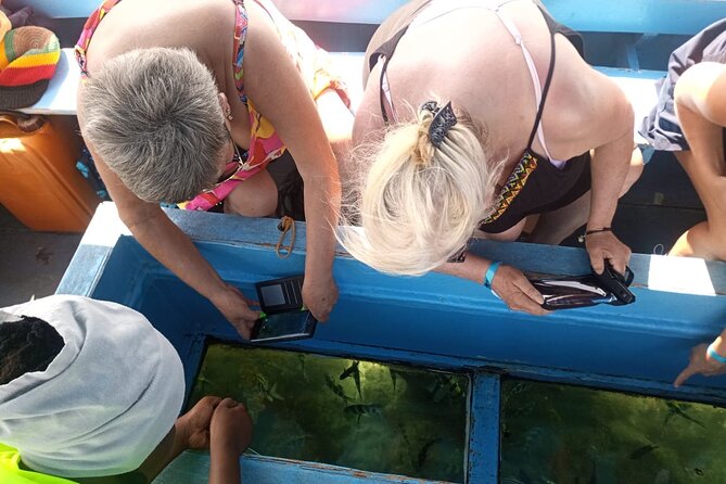 Diani Beach: Glass-bottom Boat Ride with Underwater Show - The captain’s underwater fish performance