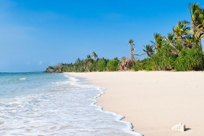 Diani Beach: Glass-bottom Boat Ride with Underwater Show - What $30 includes, and where the value lies