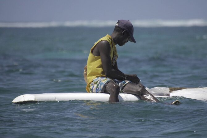 Diani Beach: Glass-bottom Boat Ride with Underwater Show - Timing, weather, and the small details that matter
