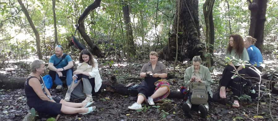 Diani Beach: Kaya Kinondo cultural and nature experience - Key points at a glance