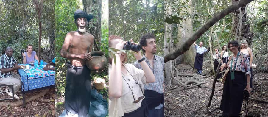 Diani Beach: Kaya Kinondo cultural and nature experience - The shrine and the spiritual heart of the forest