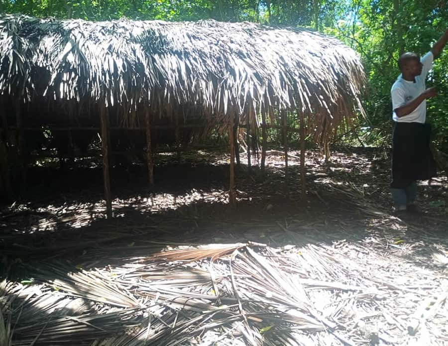 Diani Beach: Kaya Kinondo cultural and nature experience - Is $42 a fair price?