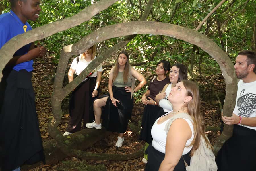 Diani Beach: Kaya Kinondo cultural and nature experience - What to bring and how to prepare