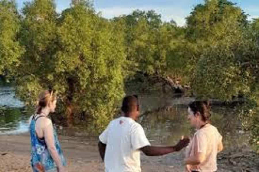 Diani Beach: Kongo River Estuary Sundowner Boat Tour - A tuk tuk pickup that sets the tone
