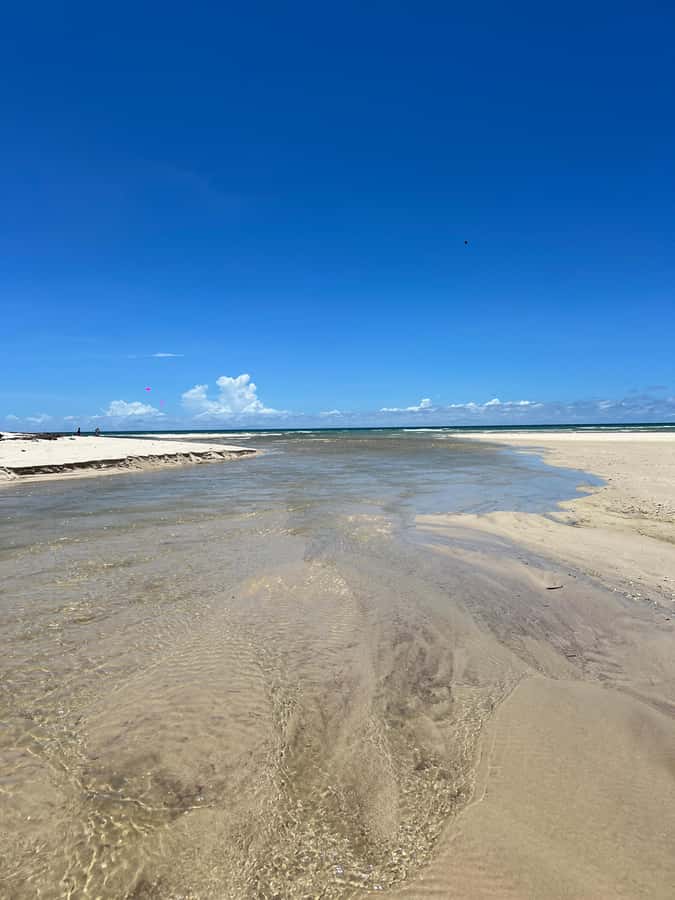 Diani Beach: Private African Pool Map Guided Tour - Walking the Tiwi Shore to the African Pool