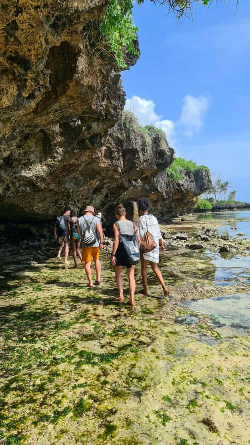 Diani Beach: Private African Pool Map Guided Tour - The African Pool, Shaped by Nature