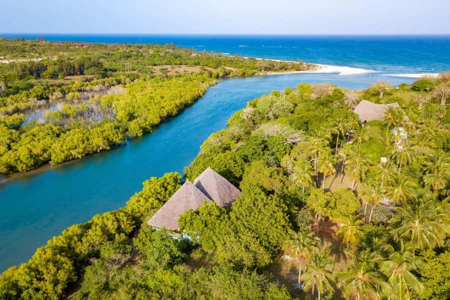 Diani Beach: Sunset Dhow Cruise with Dinner - What this Diani sunset cruise is really about