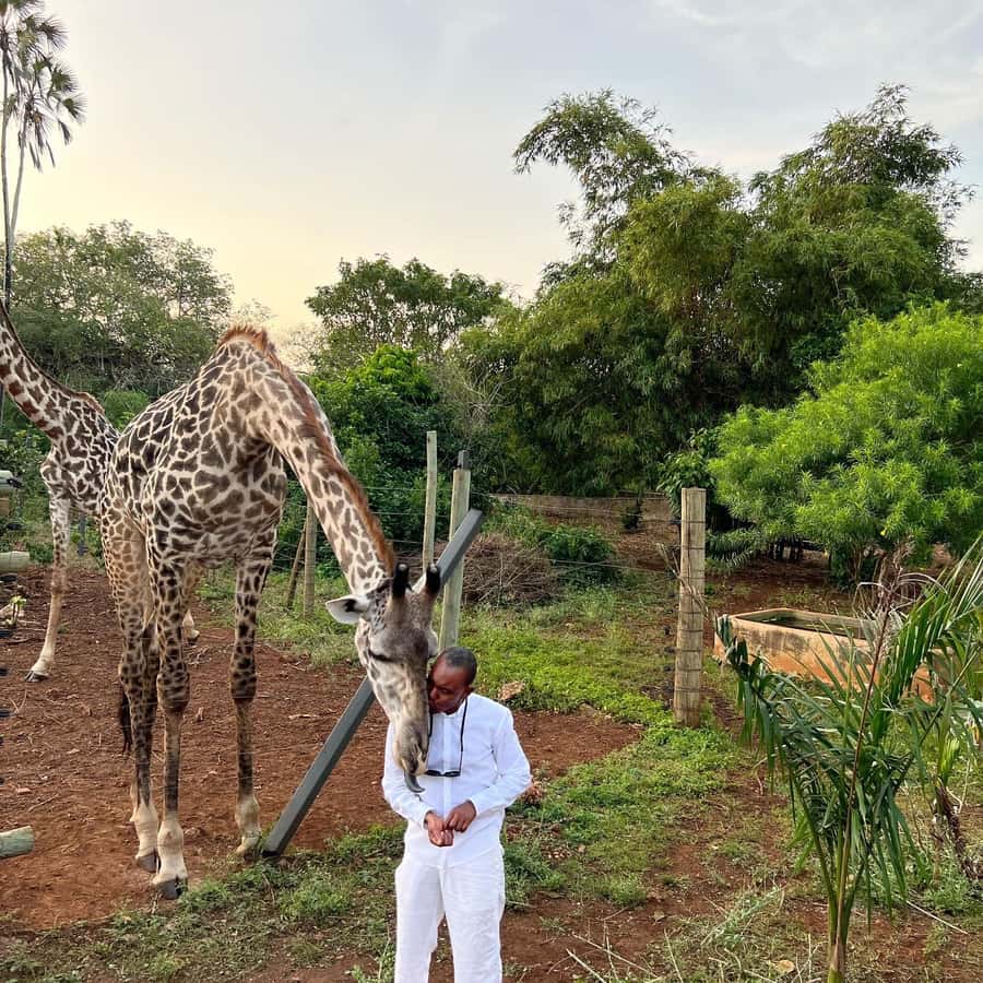 DIANI: SHARE A MEAL WITH GIRAFFES - Walking through the animal park
