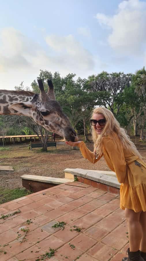 DIANI: SHARE A MEAL WITH GIRAFFES - Traditional dance and the souvenir stop