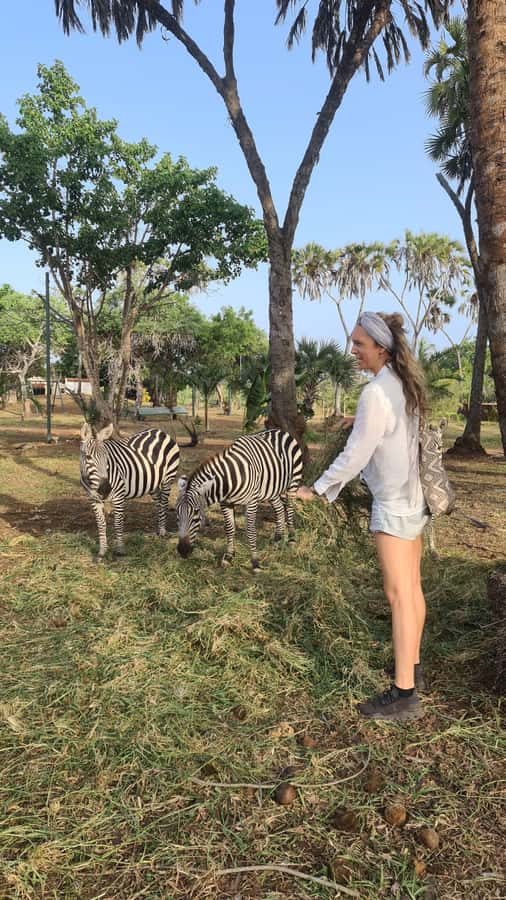 DIANI: SHARE A MEAL WITH GIRAFFES - Sitting down to a three-course meal