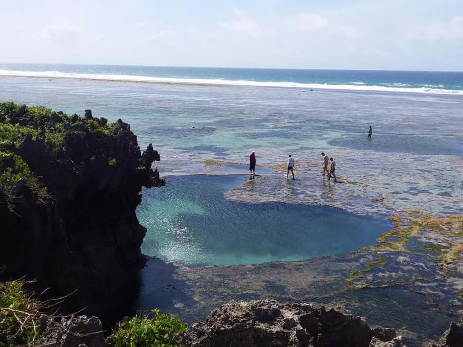 Diani: Snorkeling and Swimming at African Pool in Tiwi Beach - Who will enjoy this outing most