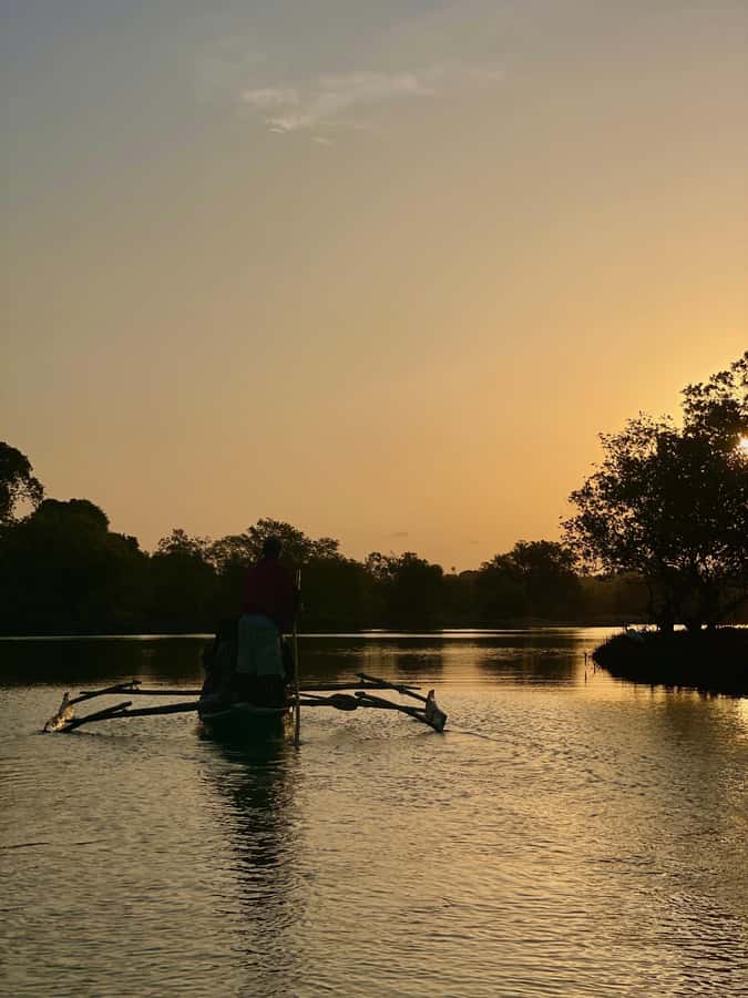 Diani: Sunset Canoe Tour along the River with Mangroves - Why Omari makes the difference