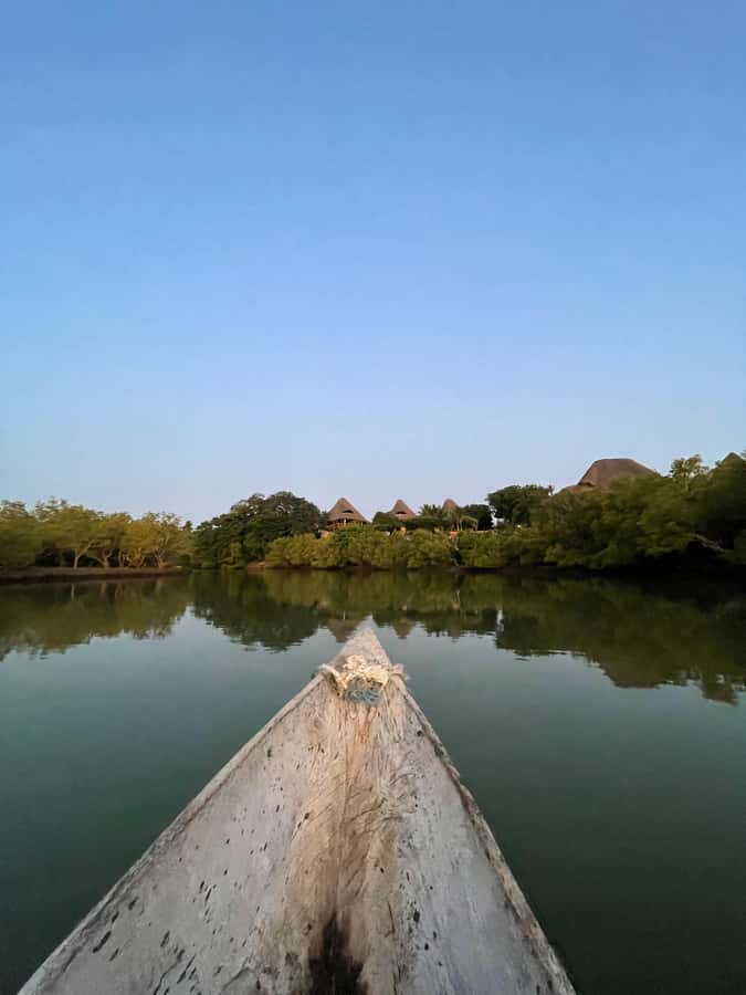Diani: Sunset Canoe Tour along the River with Mangroves - What to bring for a comfortable trip