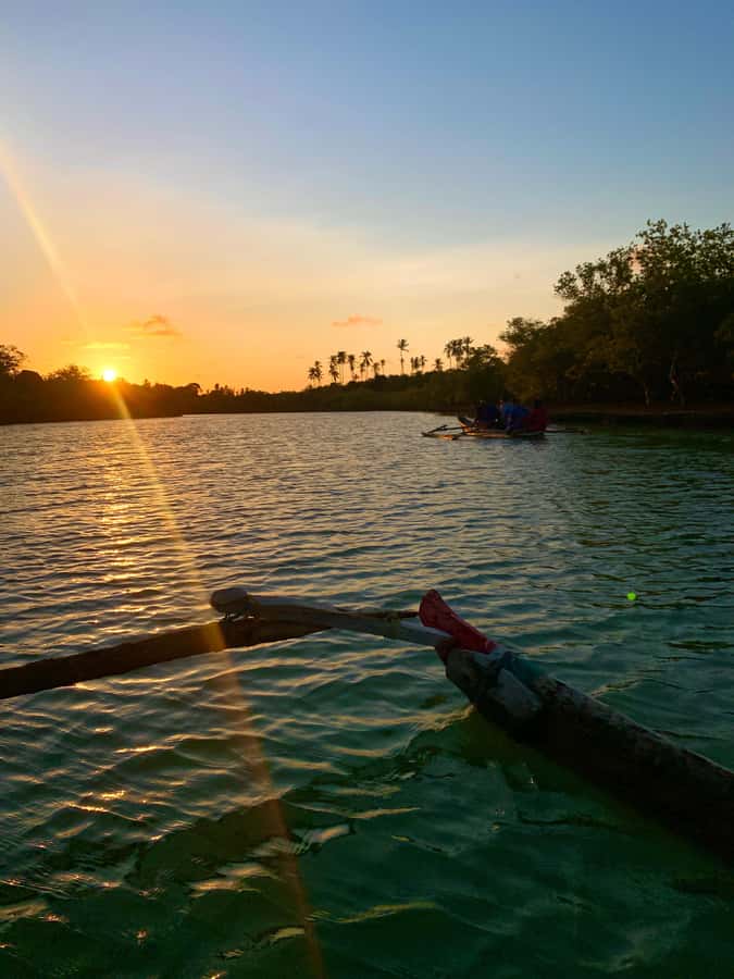 Diani: Sunset Canoe Tour along the River with Mangroves - Price, timing, and practical value