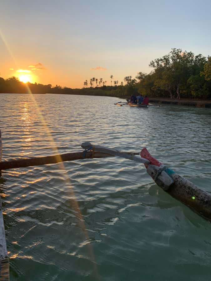 Diani: Sunset Canoe Tour along the River with Mangroves - Paddling where the river meets the sea