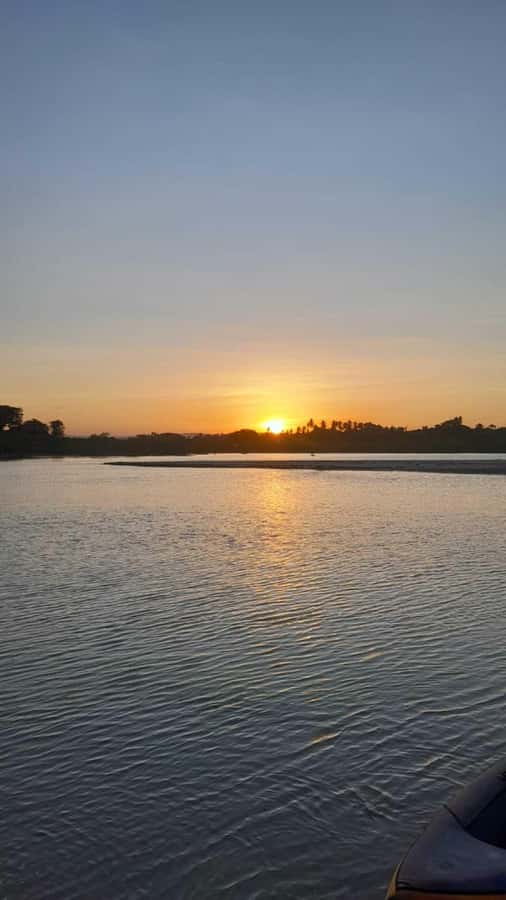 Diani: Sunset Cruise along Kongo River on Wooden Canoe boat - Mangroves, birds, and the value of a slow pace