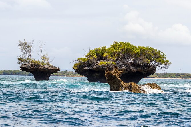 Dolphin Watch & Snorkeling at Kisite Marine Park & Wasini Island - The Shimoni slave caves and difficult coastal history